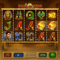 Vinyl - Book of Dead Slot Game - Pragmatic Play
